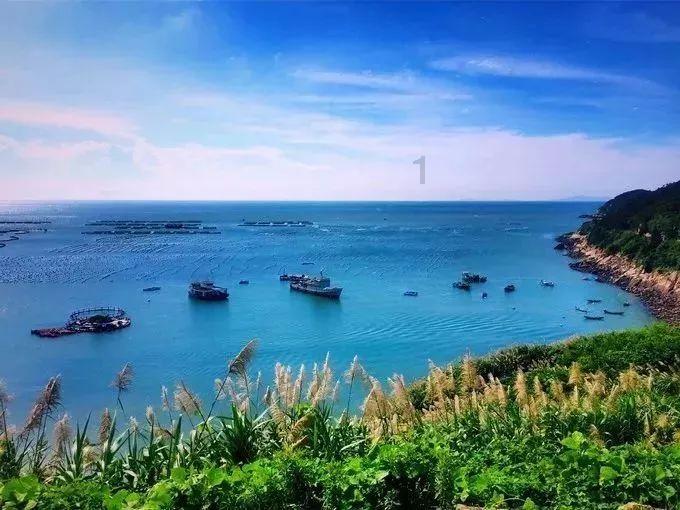 50平米光伏发电一天能发多少电?是你必备的红迪网平台